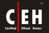 Certified Ethical Hacker (CEH) v8